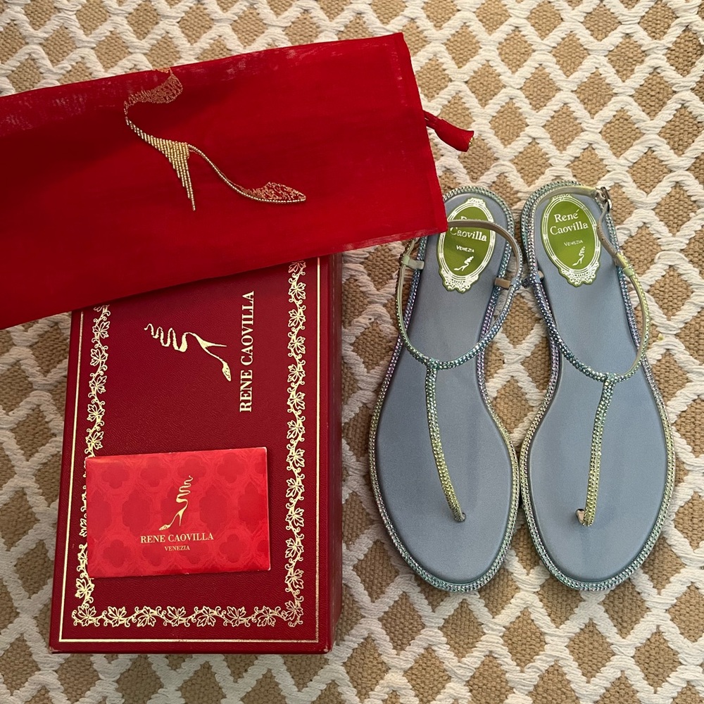 Rene Caovilla Silver and Gold Sandals